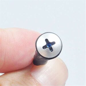 Photo of a hidden camera installed inside a screw