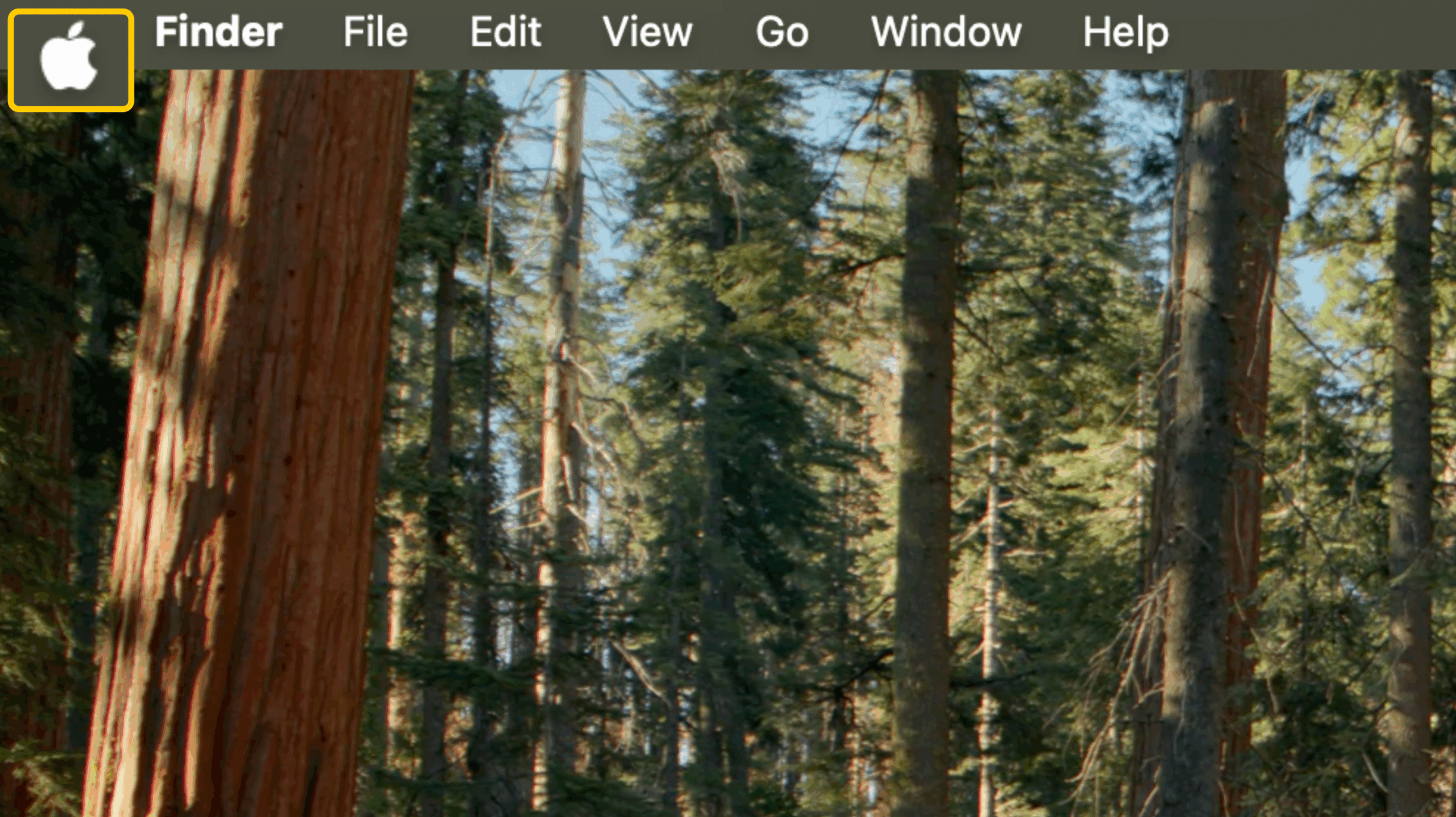 Captura de pantalla de un equipo de escritorio Mac con el icono de Apple resaltado.