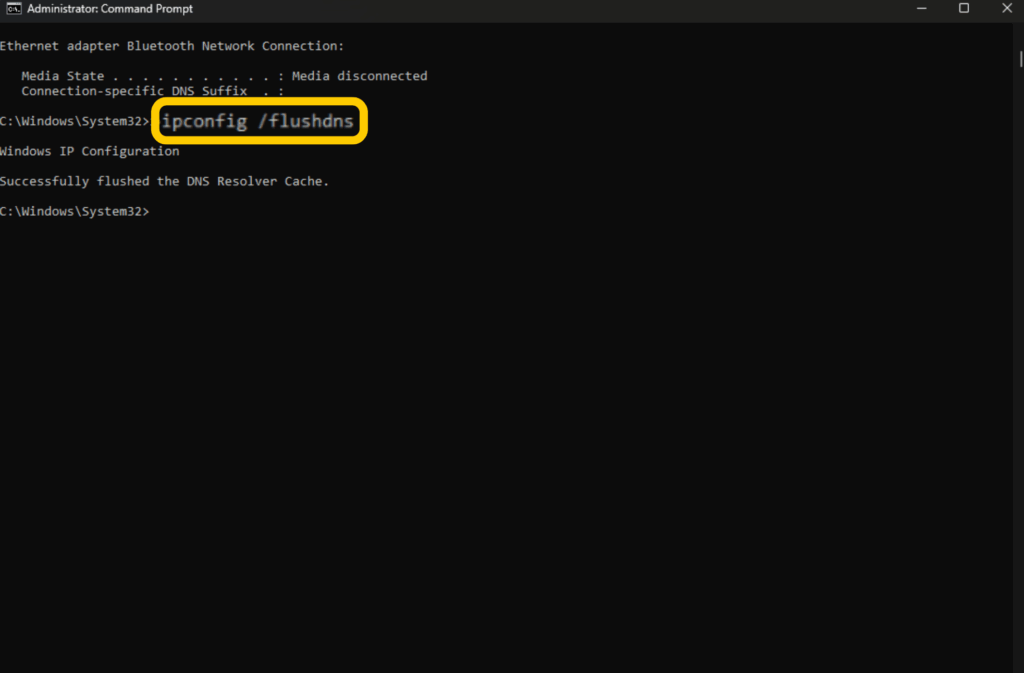 A running Windows Command Prompt window showing the successful result of running the "ipconfig /flushdns" command.