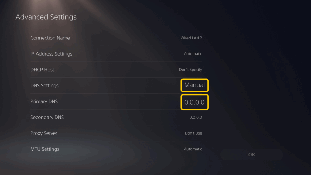 A screenshot of the "Set Up Internet Connection" menu showing the DNS settings.