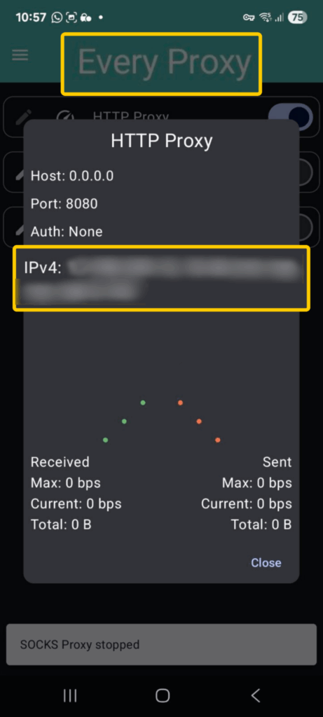 Viewing HTTP Proxy details with IPv4 addresses and port number in the Every Proxy app.