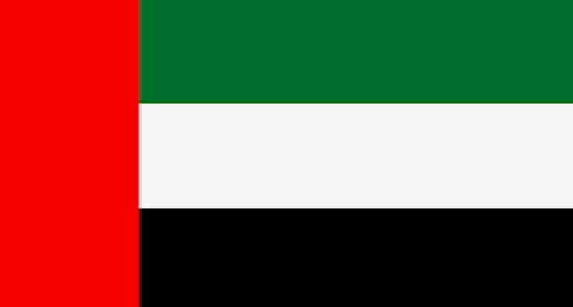 The flag of the UAE