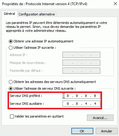 DNS google