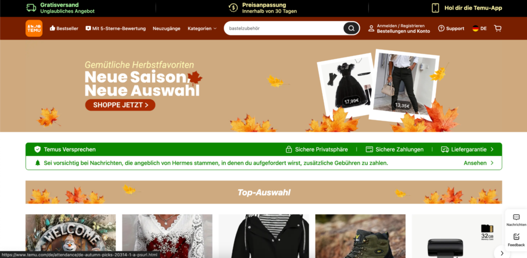 Screenshot: Benutzeroberfläche der Temu-Website