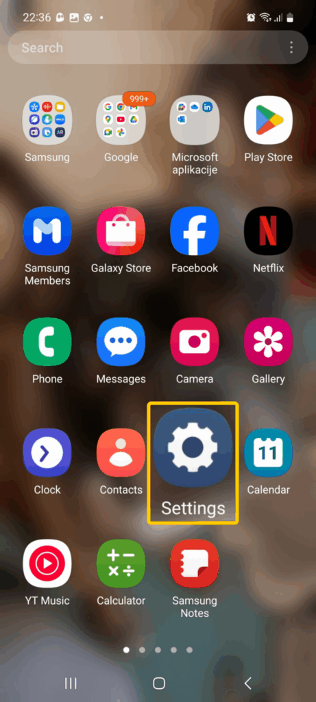 Android home screen showing the Settings app among other installed applications.