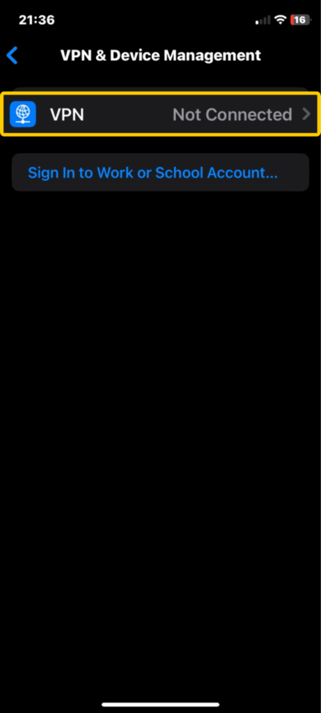 iPhone screen showing the VPN & Device Management menu.