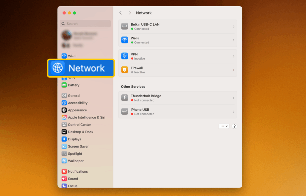 A screenshot of the "System Settings" page on a macOS, with the "Network" tab on the left enlarged and highlighted.