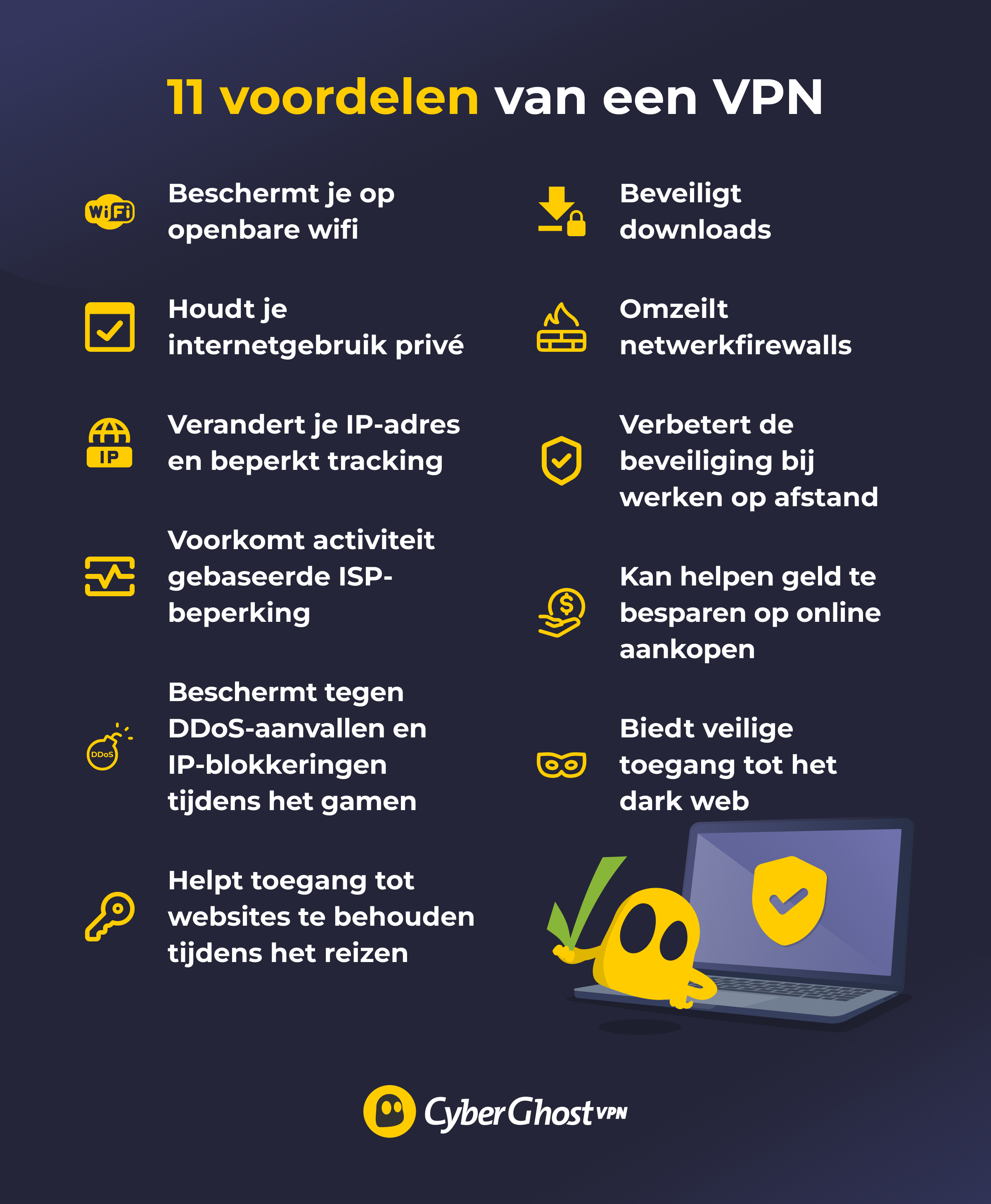 Een infographic met 11 voordelen van het gebruik van een VPN.