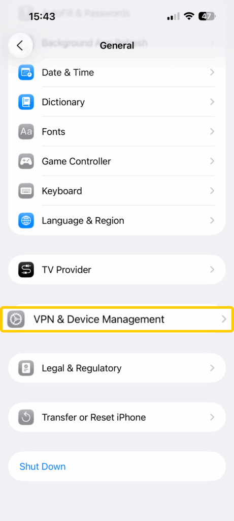 A segment of the iOS Settings app where VPN profiles and device management profiles are stored.