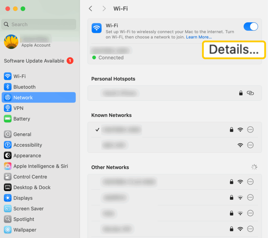 Screenshot of the page showing the active connection and available networks on macOS.