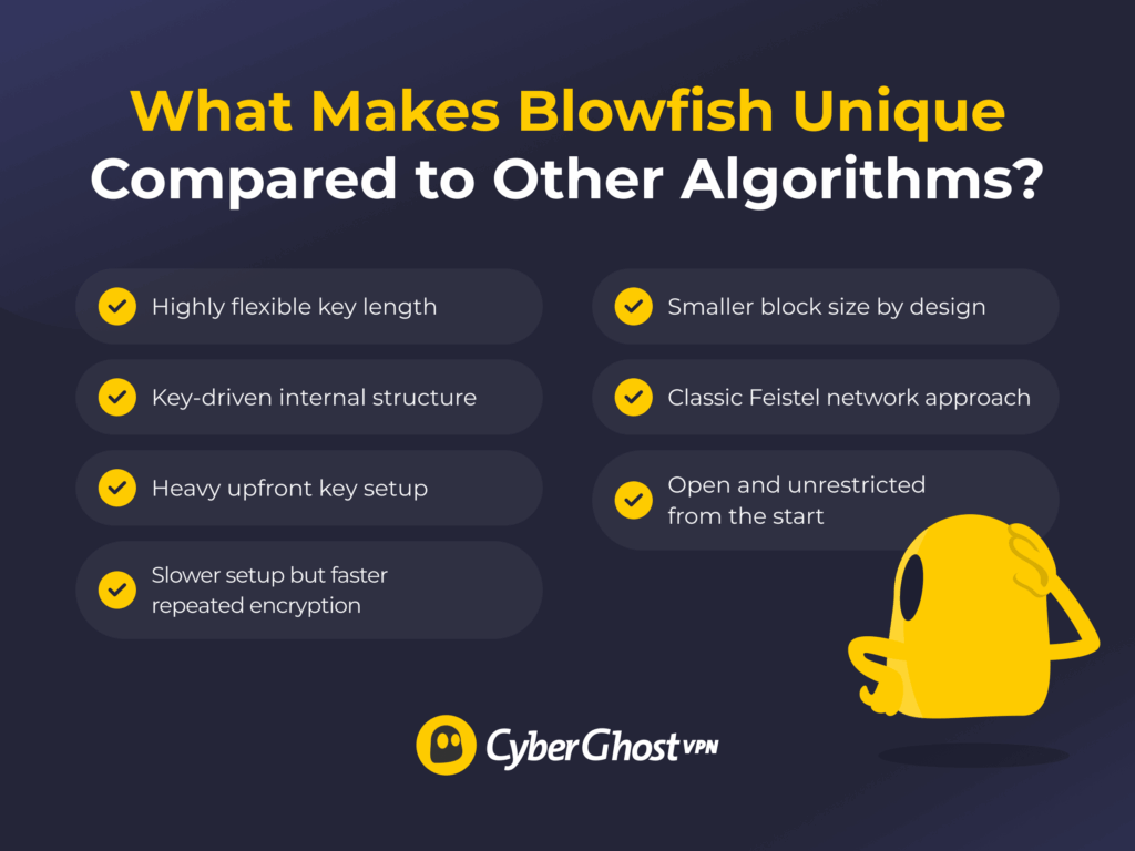 Infographic illustrating the key features that make Blowfish encryption unique
