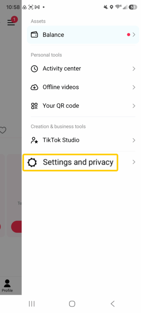 Screenshot of TikTok app highlighting where to access the Setttings and privacy tab